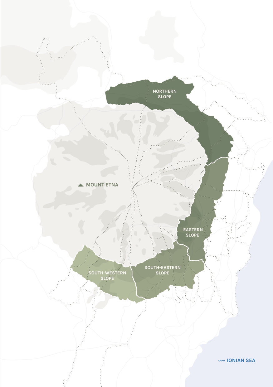 Etna's vineyard slopes